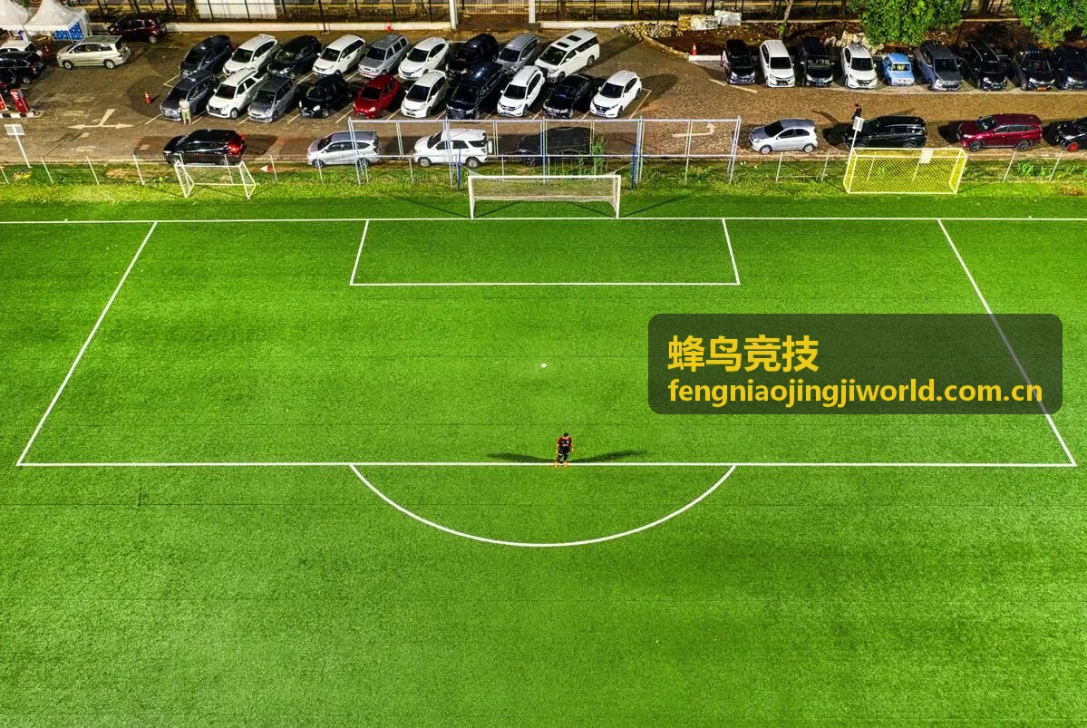 蜂鸟竞技玩家社区版本上分心得