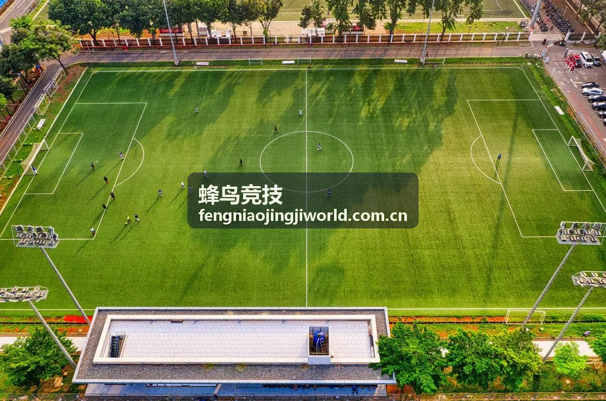 蜂鸟竞技玩家社区团战复盘讨论